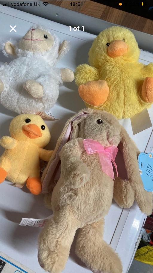 Buy & Sell Apley Telford and Wrekin - Photos for Easter teddies all new