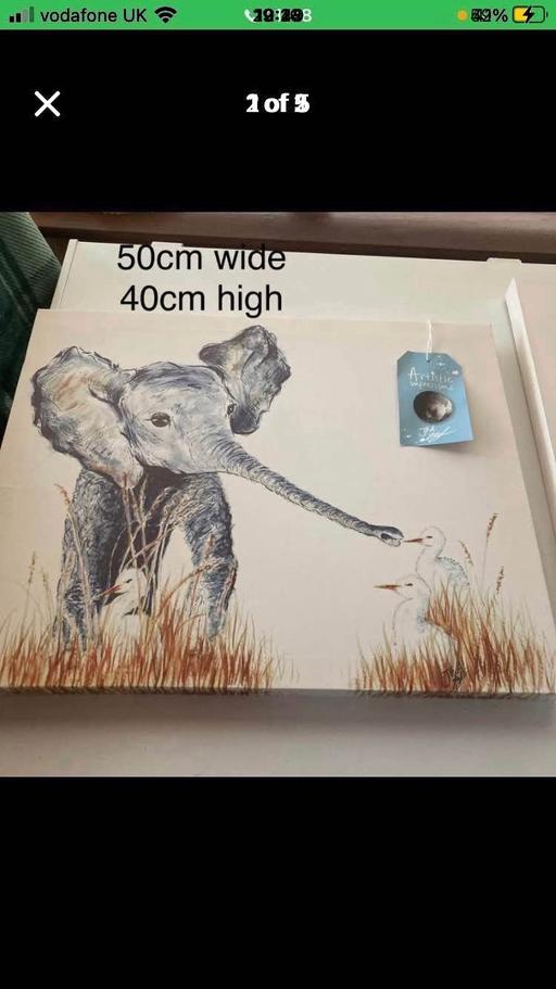 Buy & Sell Telford Telford and Wrekin - Photos for Elephant canvas