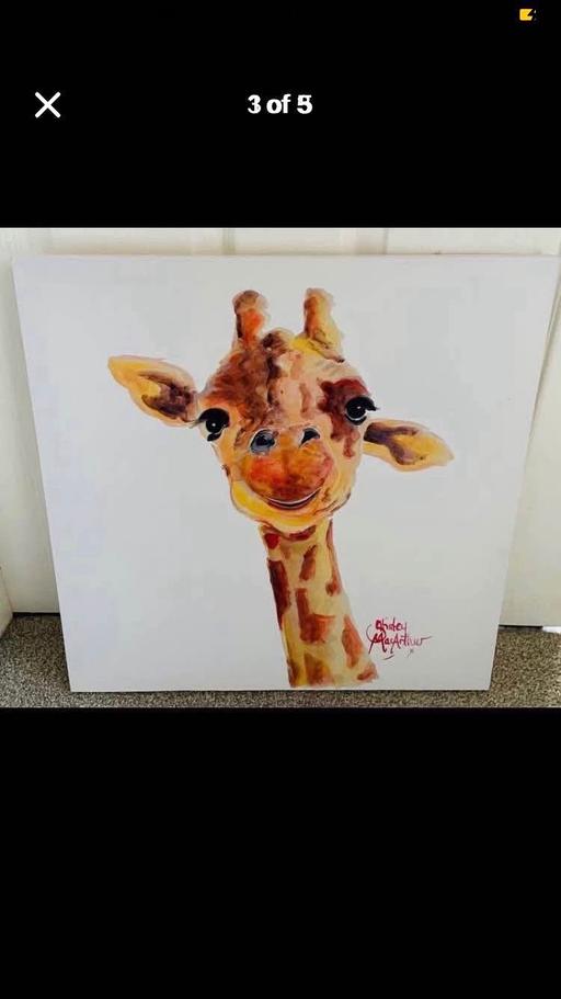 Buy & Sell Telford Telford and Wrekin - Photos for Giraffe canvas