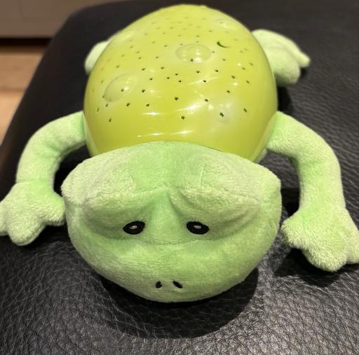 Buy & Sell Heswall Wirral - Photos for Light Up Turtle