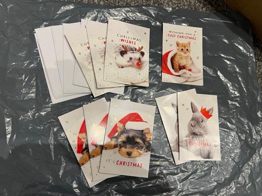 training The Avenues Hull - Photos for Christmas cards