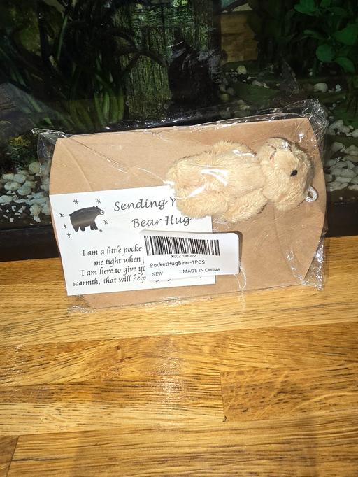 Buy & Sell Duckmanton Chesterfield - Photos for pocket hug bear new with card