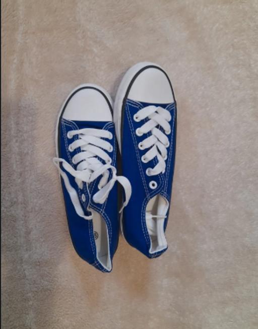 Buy & Sell Ffair Rhos Ceredigion - Wales - Photos for Blue Canvas shoe