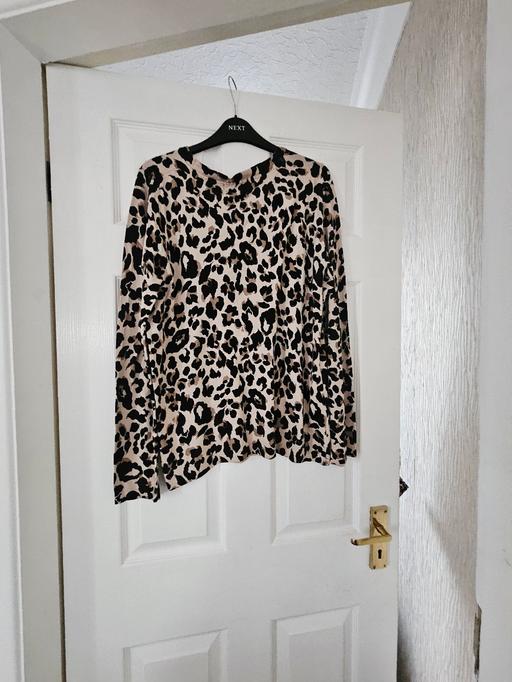 Buy & Sell Newton Doncaster - Photos for Next jumper, size 14.
