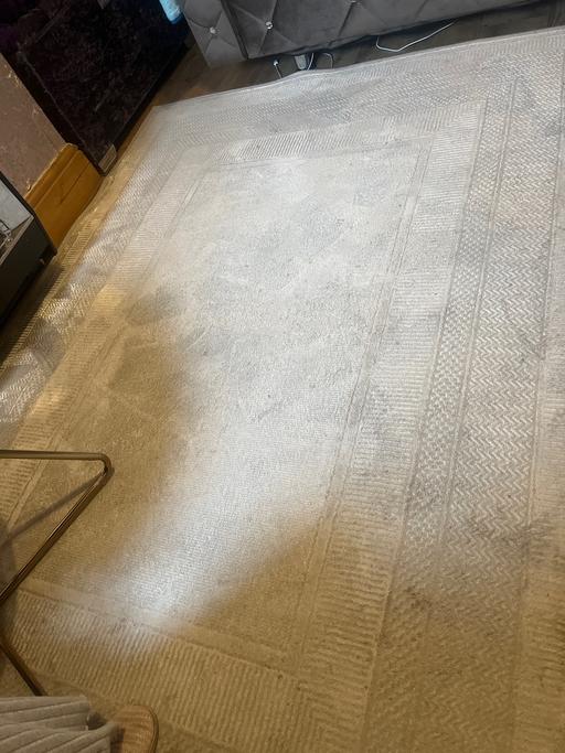 Buy & Sell Dudley Port Sandwell - Photos for Large rug