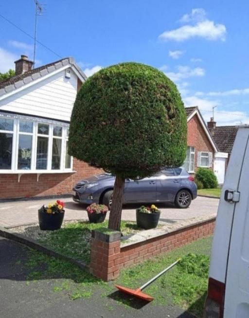 Buy & Sell Pensnett Dudley - Photos for landscapes & gardening