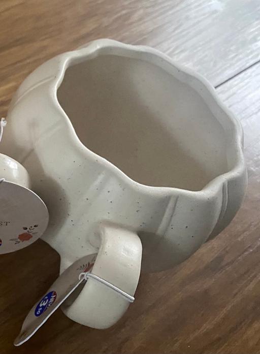 Buy & Sell Acocks Green Birmingham - Photos for 1 pumpkin shaped mug