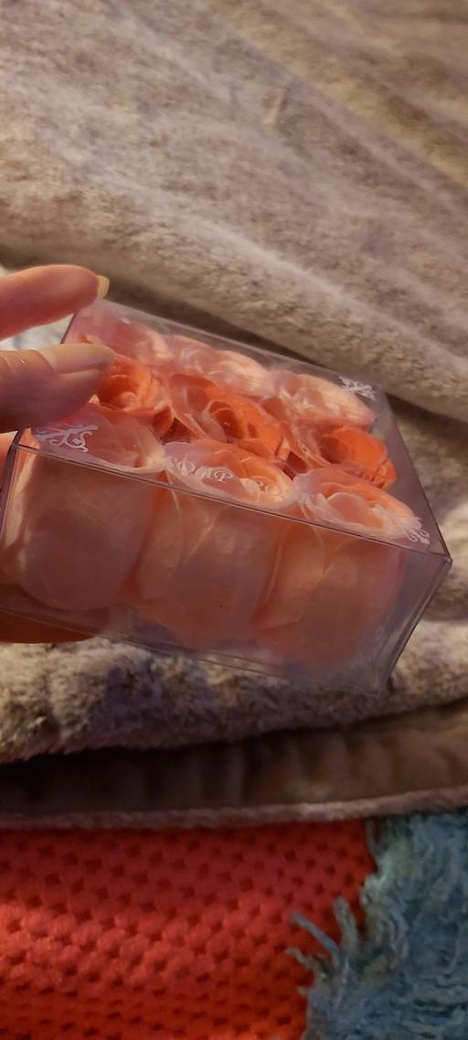 Buy & Sell Asfordby Hill Melton - Photos for Big box of Bath Roses 🌹