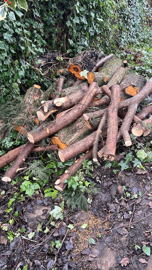 Buy & Sell Hall Green Birmingham - Photos for Tree cutting and removal and hedges cutting