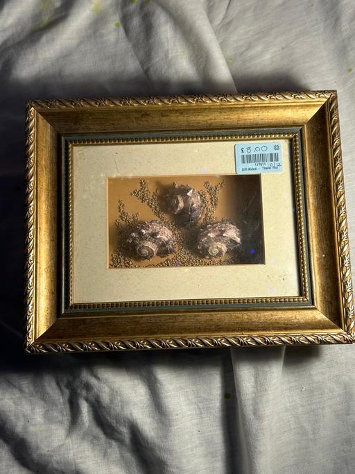 Buy & Sell Quinton Birmingham - Photos for What you see