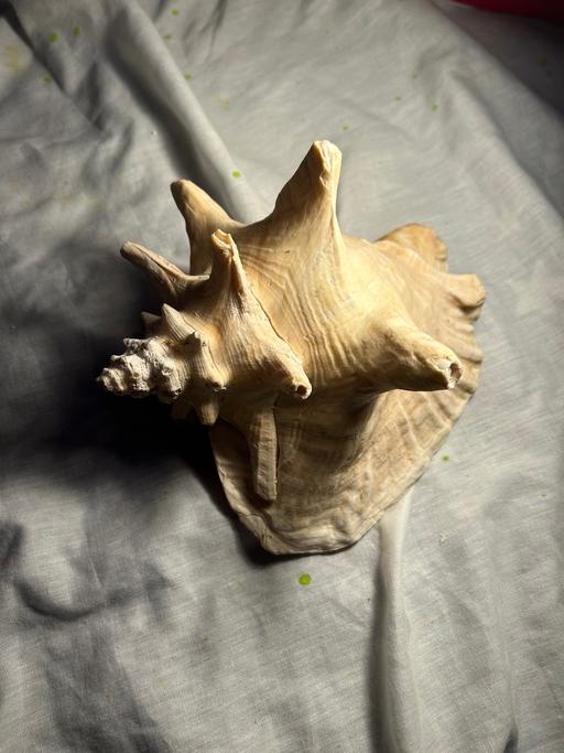 Buy & Sell Quinton Birmingham - Photos for She’ll