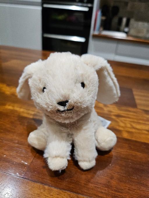 Buy & Sell Bradmore Wolverhampton - Photos for Baby soft rabbit