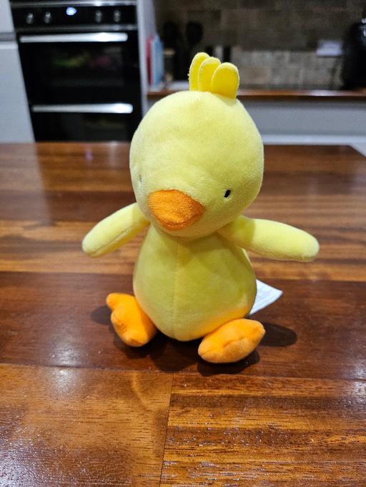 Buy & Sell Penn Fields Wolverhampton - Photos for Baby soft chick 🐣🐥