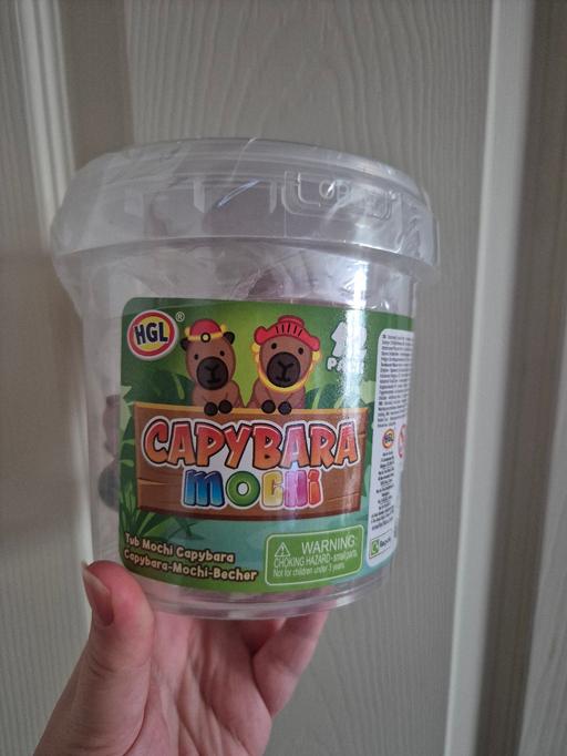 Buy & Sell Crumpsall Manchester - Photos for new Capybara Mochi 12pk Squishes