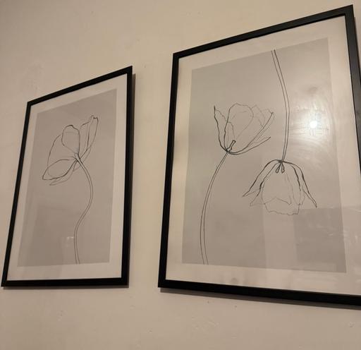 Buy & Sell Chadderton Oldham - Photos for Flower Art Print and Frames - FREE