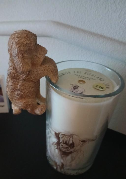 Buy & Sell Bradley Fold Trading Estate Bury - Photos for Dog Pot Hanger Comes With Tag