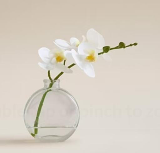 Buy & Sell Parkgate Rotherham - Photos for White Artificial Orchid
