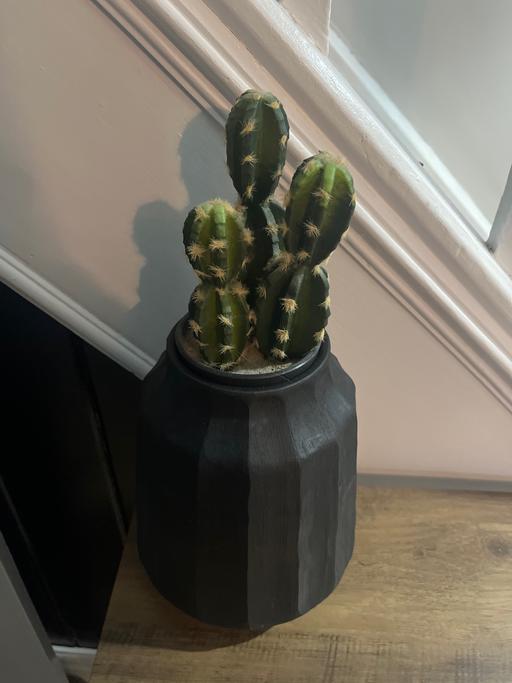Buy & Sell Cadeby Doncaster - Photos for Black vase and artificial cactus