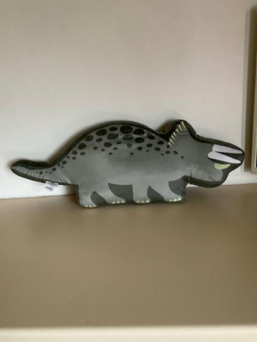 Buy & Sell Princes End Sandwell - Photos for Dinosaurs cushion