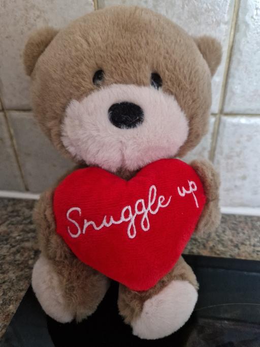 Buy & Sell Grassmoor North East Derbyshire - Photos for teddy