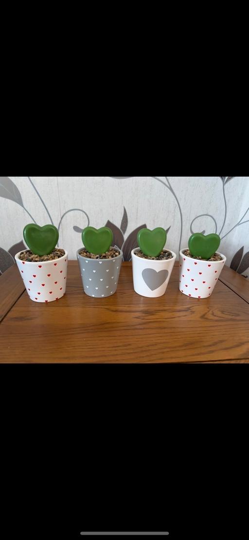 Buy & Sell Golds Hill Sandwell - Photos for Artificial plants