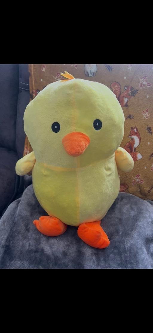 Buy & Sell Golds Hill Sandwell - Photos for Easter chick