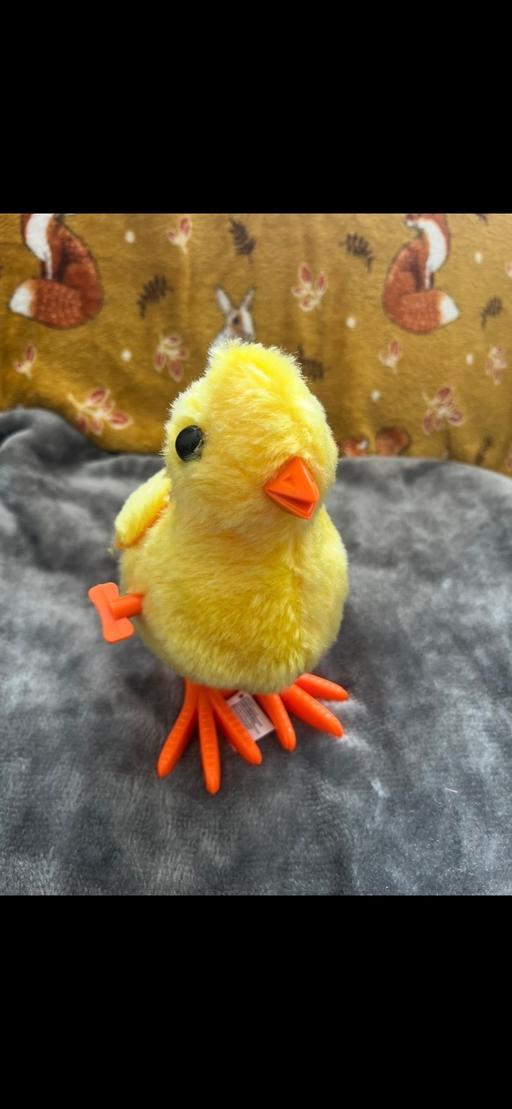 Buy & Sell Golds Hill Sandwell - Photos for Easter chick