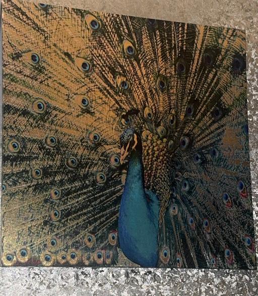 Buy & Sell Halewood Knowsley - Photos for Gorgeous peacock picture gold and green