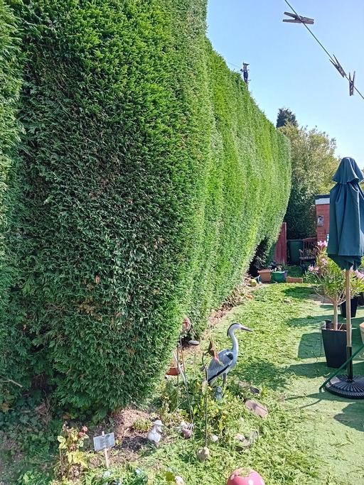 Buy & Sell Pensnett Dudley - Photos for landscapes and gardening