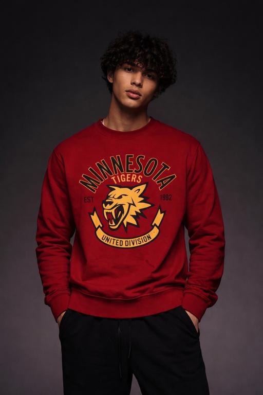 Buy & Sell Norwich Norwich - Photos for H&M Minnesota Tigers Sweatshrt Red Kids £5.99