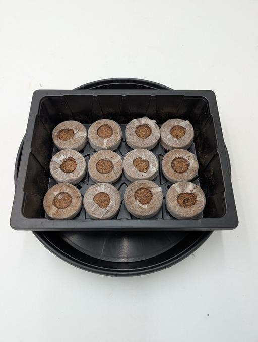 Buy & Sell Moston Cheshire East - Photos for Seed tray,s, saucers and peat free pellets.