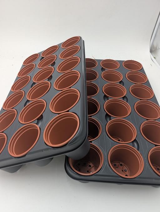 Buy & Sell Elworth Cheshire East - Photos for 9cm deep growing pots in shuttle trays