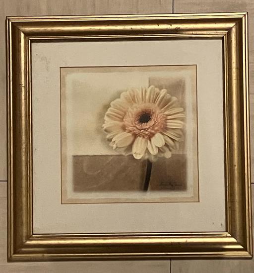 Buy & Sell Yeovil Somerset - Photos for Fine art - wooden frame The flower