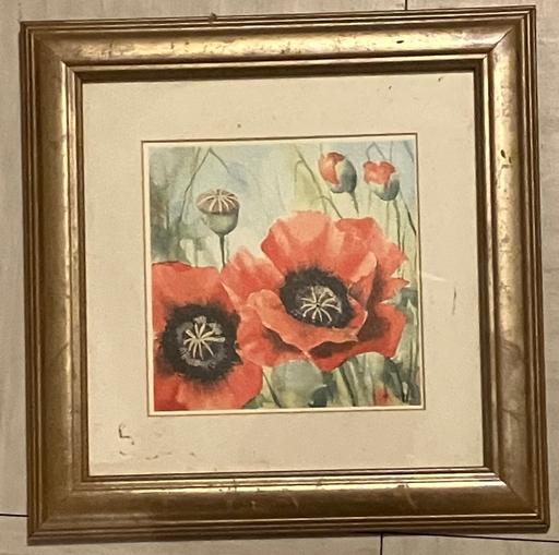 Buy & Sell Yeovil Somerset - Photos for Fine Art- wooden frame.The poppy.