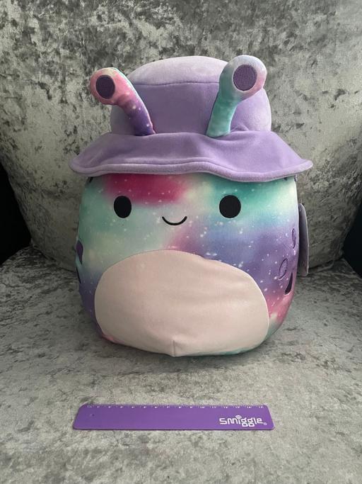 Buy & Sell Sefton Park Liverpool - Photos for Squishmallows 12