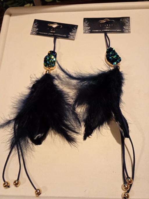 Buy & Sell Horncastle East Lindsey - Photos for 2 brand new PEACOCK THEMED decorations