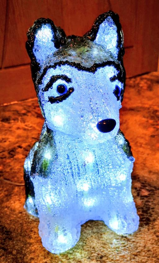 Buy & Sell Elm Park Havering - Photos for Dog decoration