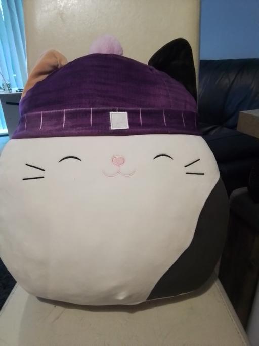 Buy & Sell East Bedfont South West London - Photos for large Squishmellows