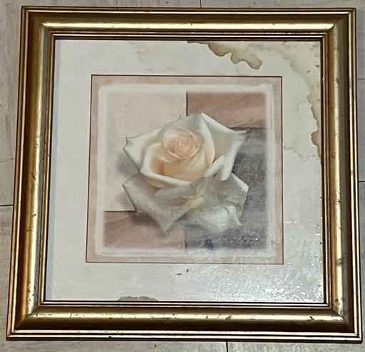 Buy & Sell Yeovil Somerset - Photos for Fine Art - Gold wooden Frame. - white flower