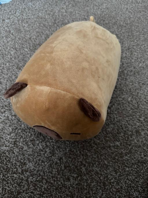 Buy & Sell New Eltham South East London - Photos for Ultra soft Capybara
