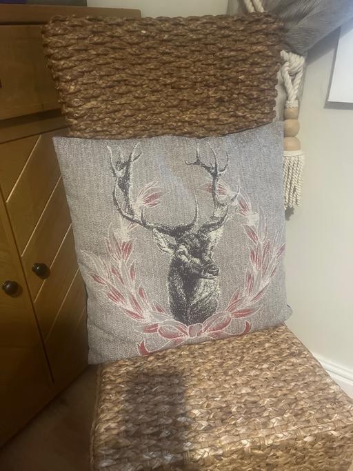 Buy & Sell Cadeby Doncaster - Photos for Stag cushion