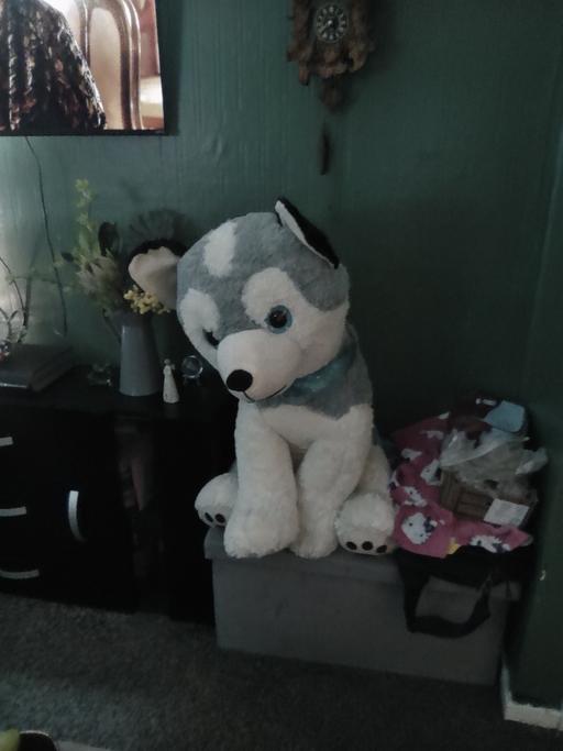 Buy & Sell Four Oaks Birmingham - Photos for soft toy