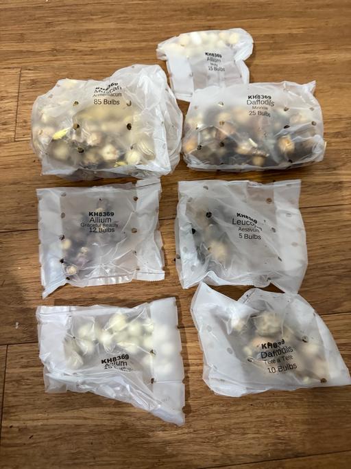 Buy & Sell Welling Bexley - Photos for Over 150 mixed spring bulbs