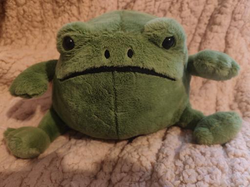 Buy & Sell Pwllheli Gwynedd - Photos for Gorgeous Plush Frog