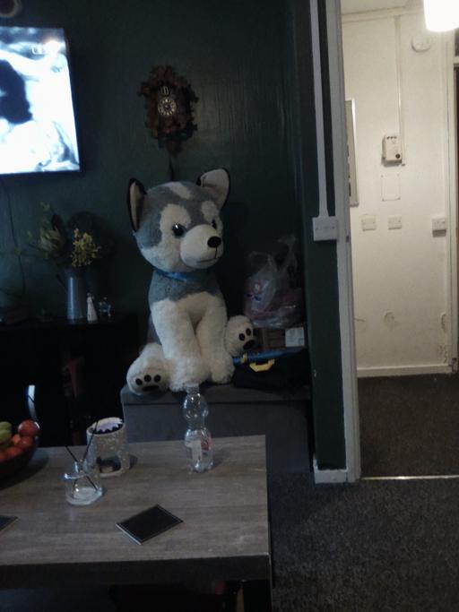 Buy & Sell Sutton Coldfield Birmingham - Photos for soft toy