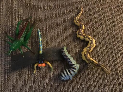 Buy & Sell Essington Wolverhampton - Photos for Four toy creepy crawlies