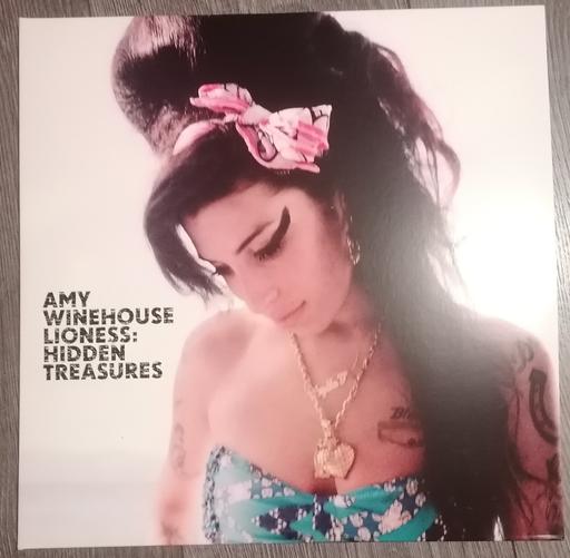 Buy & Sell Sneinton Nottingham - Photos for Amy Winehouse lioness: Hidden treasures.