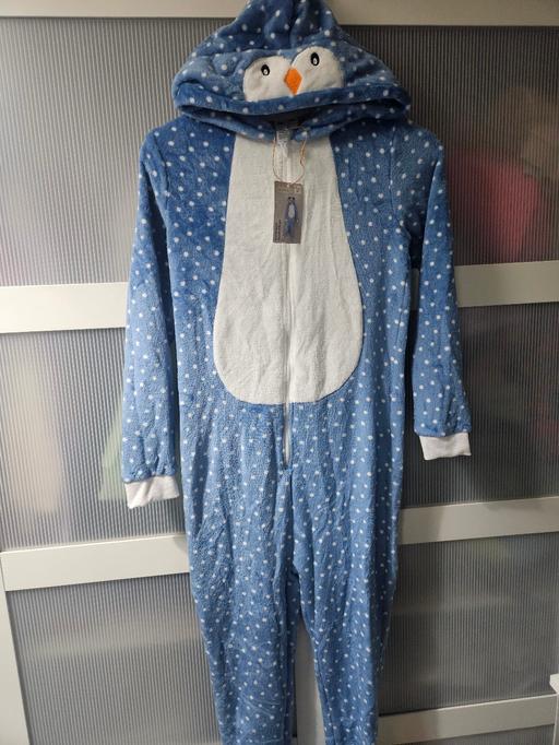 Buy & Sell Weston Point Halton - Photos for 🌟NEW🌟 Age 11-12 LILY & DAN onesie