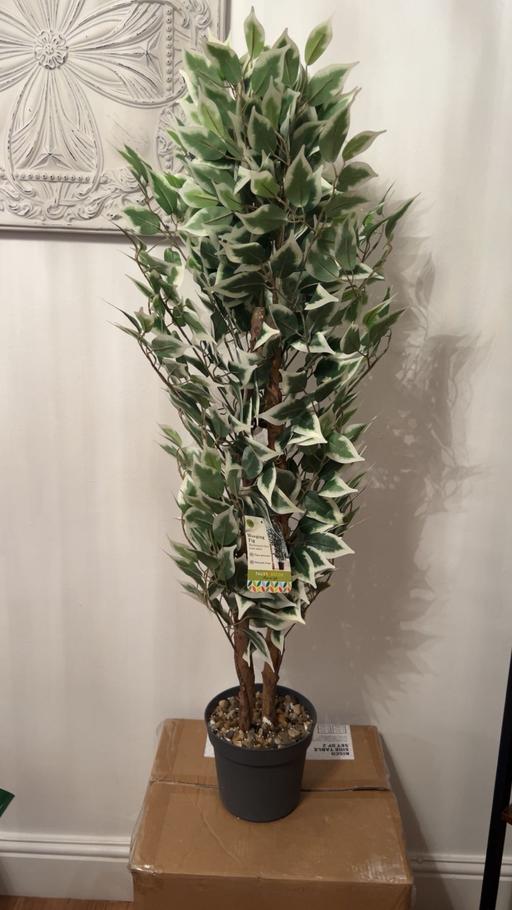 Buy & Sell Bushbury Wolverhampton - Photos for artificial faux plant weeping fig 130cm