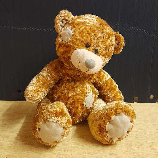Buy & Sell Walton-Le-Dale South Ribble - Photos for TEDDY 🧸